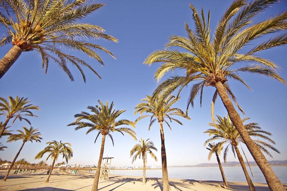 Hotel Sahara Nubia Gobi Ses Cadenes Exterior foto Palma de Mallorca