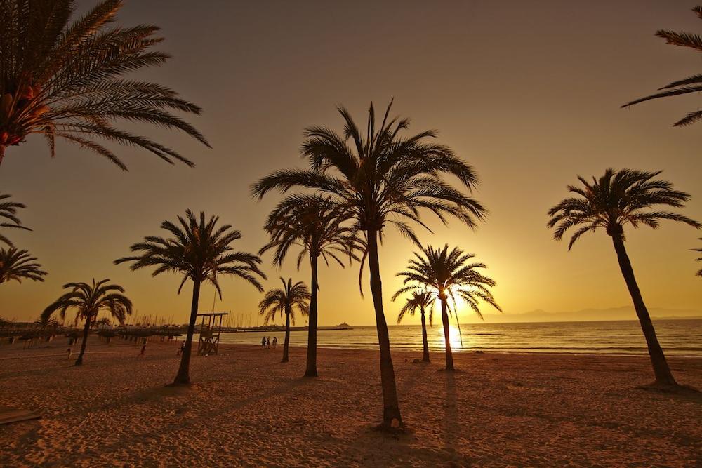 Hotel Sahara Nubia Gobi Ses Cadenes Exterior foto Palm trees on the beach at sunset